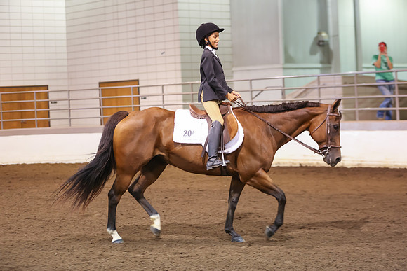 www.ngaphoto.com 2015 Georgia Federation of Saddle Clubs Championship Horse Show