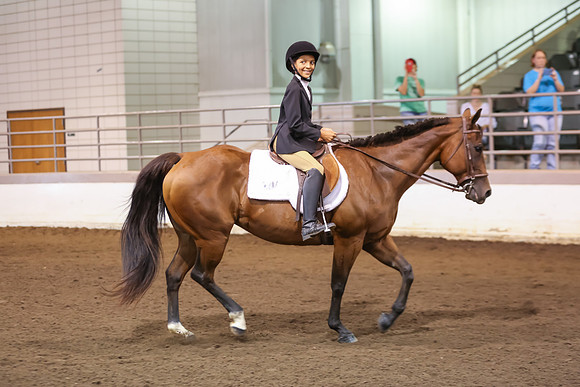 www.ngaphoto.com 2015 Georgia Federation of Saddle Clubs Championship Horse Show