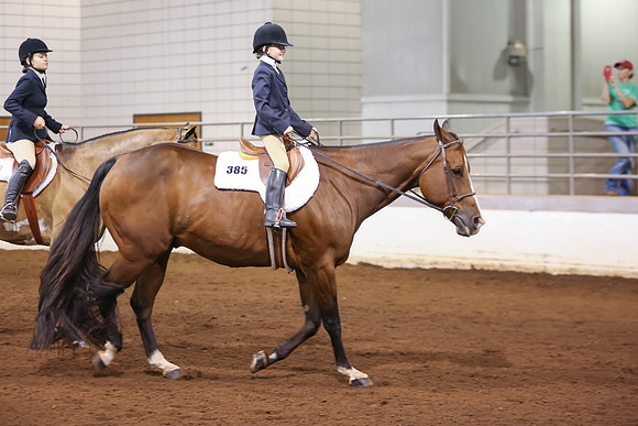 www.ngaphoto.com 2015 Georgia Federation of Saddle Clubs Championship Horse Show