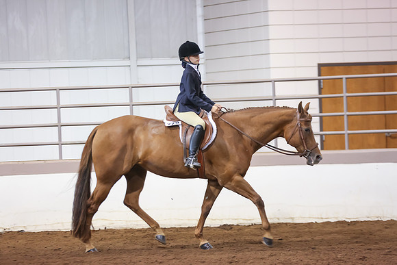 www.ngaphoto.com 2015 Georgia Federation of Saddle Clubs Championship Horse Show