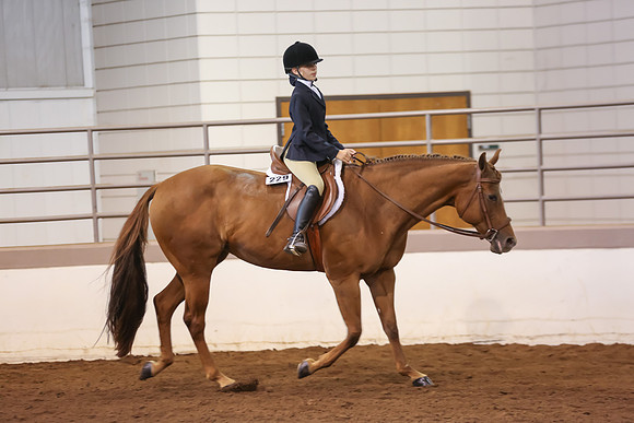 www.ngaphoto.com 2015 Georgia Federation of Saddle Clubs Championship Horse Show