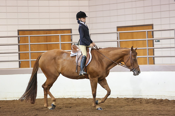 www.ngaphoto.com 2015 Georgia Federation of Saddle Clubs Championship Horse Show
