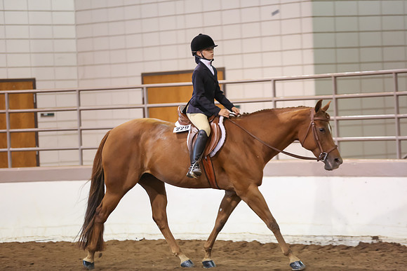 www.ngaphoto.com 2015 Georgia Federation of Saddle Clubs Championship Horse Show