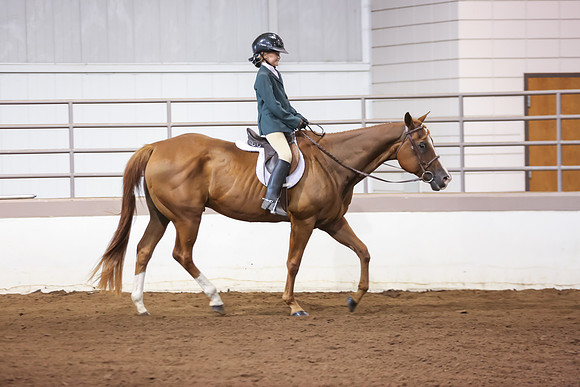 www.ngaphoto.com 2015 Georgia Federation of Saddle Clubs Championship Horse Show