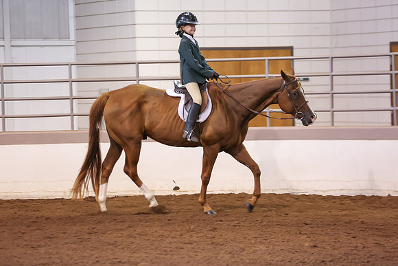 www.ngaphoto.com 2015 Georgia Federation of Saddle Clubs Championship Horse Show
