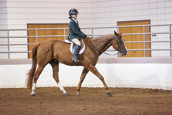 www.ngaphoto.com 2015 Georgia Federation of Saddle Clubs Championship Horse Show