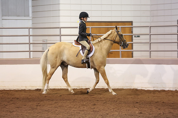 www.ngaphoto.com 2015 Georgia Federation of Saddle Clubs Championship Horse Show
