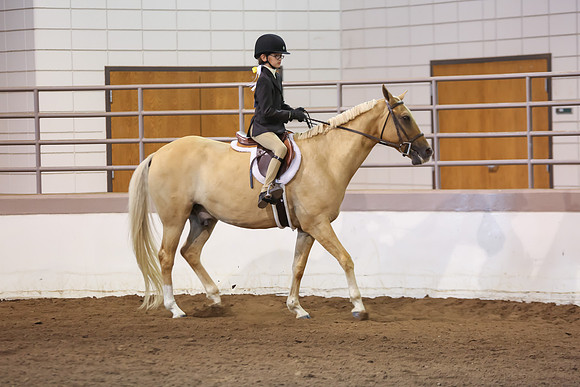 www.ngaphoto.com 2015 Georgia Federation of Saddle Clubs Championship Horse Show