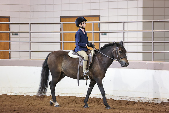 www.ngaphoto.com 2015 Georgia Federation of Saddle Clubs Championship Horse Show