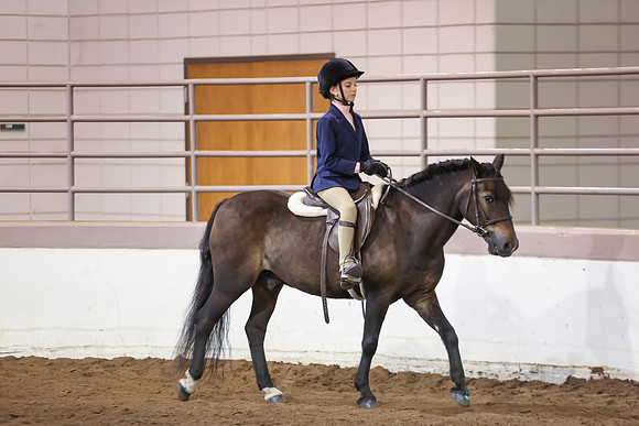 www.ngaphoto.com 2015 Georgia Federation of Saddle Clubs Championship Horse Show
