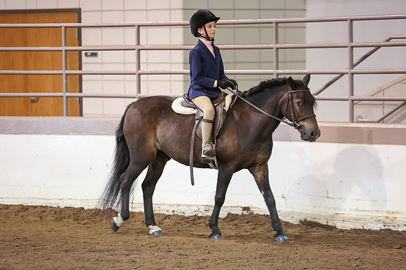 www.ngaphoto.com 2015 Georgia Federation of Saddle Clubs Championship Horse Show