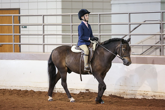 www.ngaphoto.com 2015 Georgia Federation of Saddle Clubs Championship Horse Show