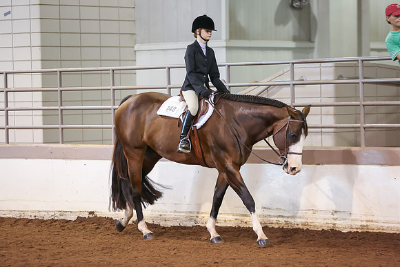 www.ngaphoto.com 2015 Georgia Federation of Saddle Clubs Championship Horse Show