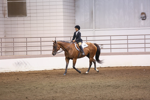 www.ngaphoto.com 2015 Georgia Federation of Saddle Clubs Championship Horse Show