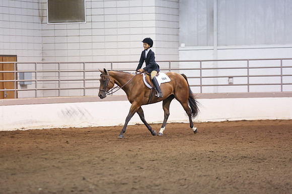 www.ngaphoto.com 2015 Georgia Federation of Saddle Clubs Championship Horse Show