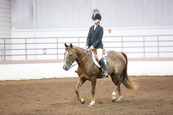 www.ngaphoto.com 2015 Georgia Federation of Saddle Clubs Championship Horse Show