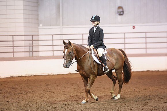 www.ngaphoto.com 2015 Georgia Federation of Saddle Clubs Championship Horse Show