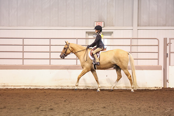 www.ngaphoto.com 2015 Georgia Federation of Saddle Clubs Championship Horse Show
