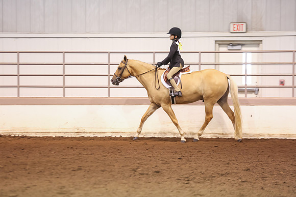 www.ngaphoto.com 2015 Georgia Federation of Saddle Clubs Championship Horse Show