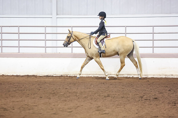 www.ngaphoto.com 2015 Georgia Federation of Saddle Clubs Championship Horse Show