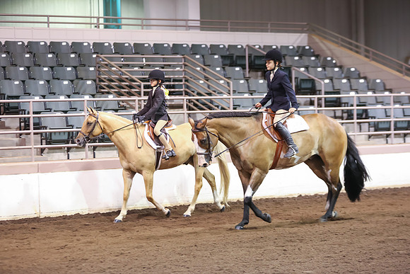 www.ngaphoto.com 2015 Georgia Federation of Saddle Clubs Championship Horse Show