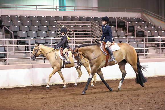 www.ngaphoto.com 2015 Georgia Federation of Saddle Clubs Championship Horse Show
