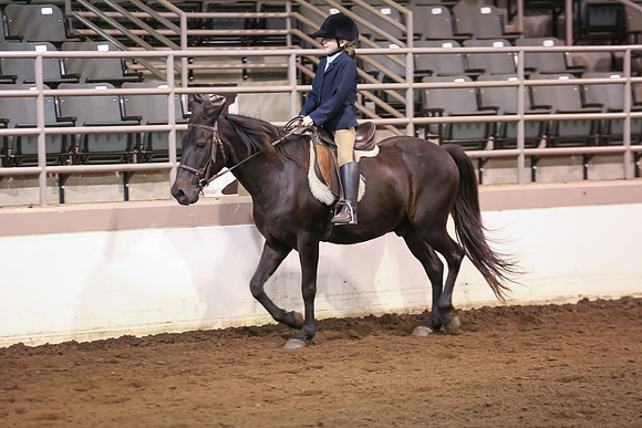www.ngaphoto.com 2015 Georgia Federation of Saddle Clubs Championship Horse Show