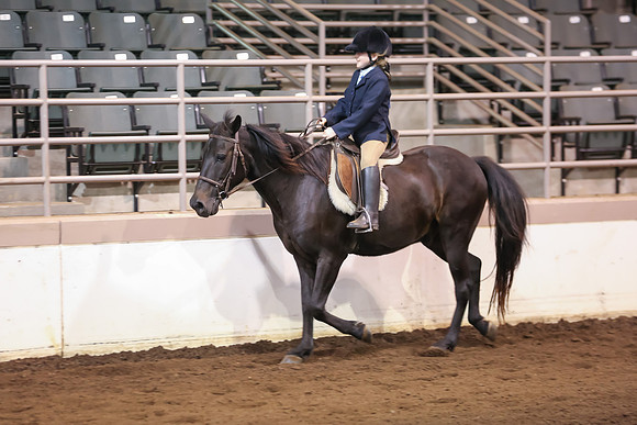 www.ngaphoto.com 2015 Georgia Federation of Saddle Clubs Championship Horse Show