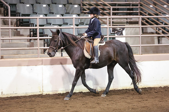 www.ngaphoto.com 2015 Georgia Federation of Saddle Clubs Championship Horse Show