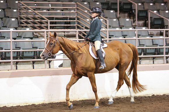 www.ngaphoto.com 2015 Georgia Federation of Saddle Clubs Championship Horse Show