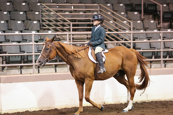 www.ngaphoto.com 2015 Georgia Federation of Saddle Clubs Championship Horse Show