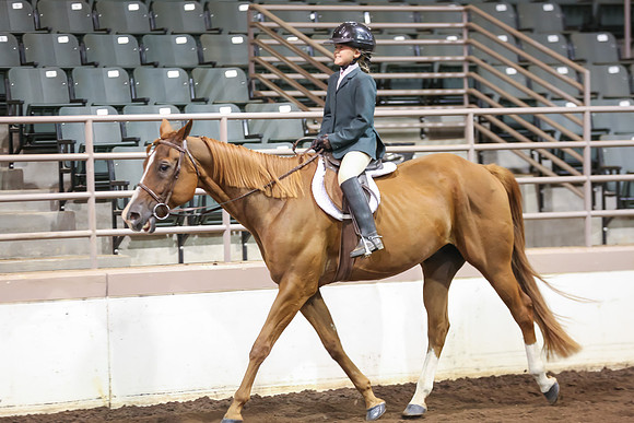 www.ngaphoto.com 2015 Georgia Federation of Saddle Clubs Championship Horse Show