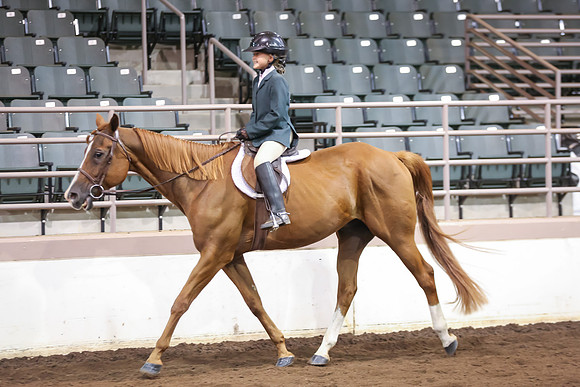 www.ngaphoto.com 2015 Georgia Federation of Saddle Clubs Championship Horse Show