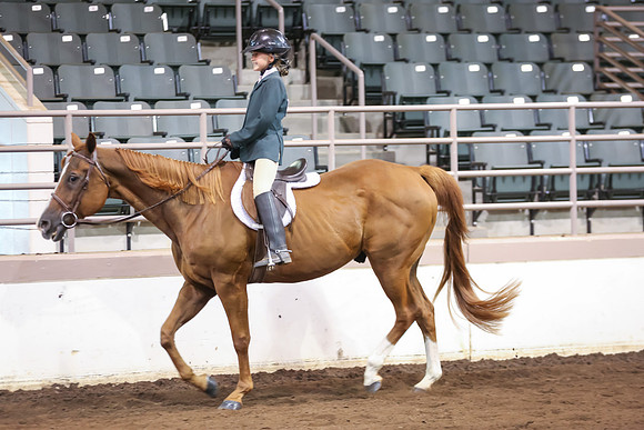 www.ngaphoto.com 2015 Georgia Federation of Saddle Clubs Championship Horse Show