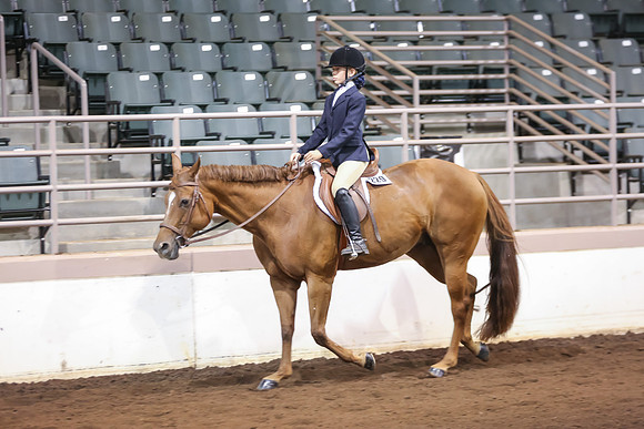 www.ngaphoto.com 2015 Georgia Federation of Saddle Clubs Championship Horse Show