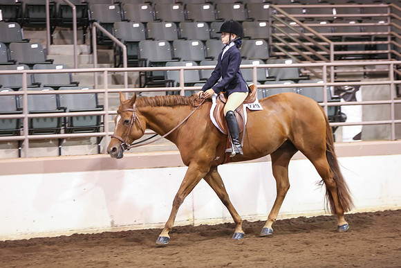 www.ngaphoto.com 2015 Georgia Federation of Saddle Clubs Championship Horse Show