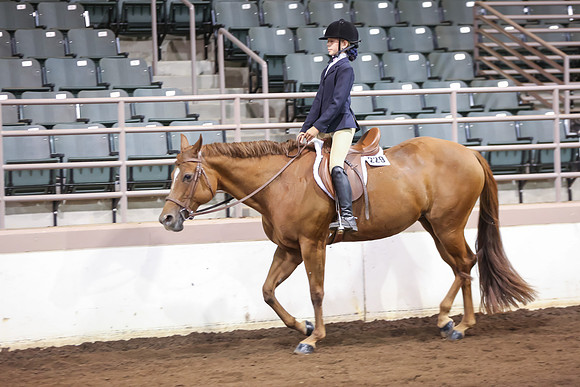 www.ngaphoto.com 2015 Georgia Federation of Saddle Clubs Championship Horse Show