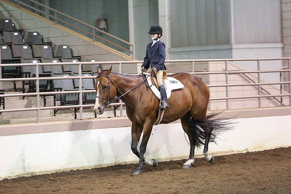 www.ngaphoto.com 2015 Georgia Federation of Saddle Clubs Championship Horse Show