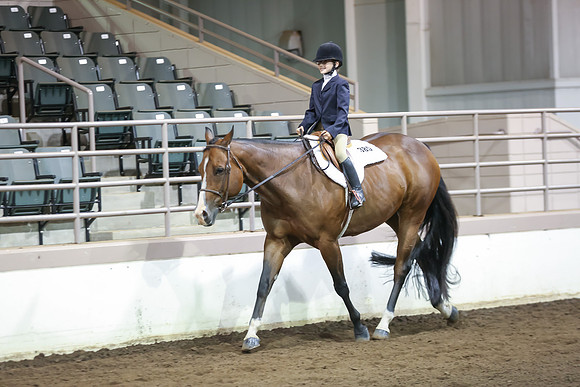 www.ngaphoto.com 2015 Georgia Federation of Saddle Clubs Championship Horse Show