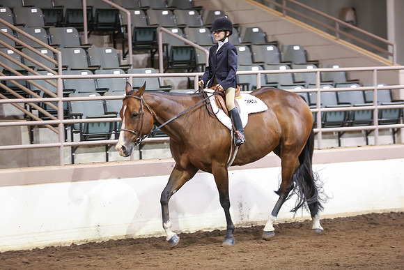 www.ngaphoto.com 2015 Georgia Federation of Saddle Clubs Championship Horse Show