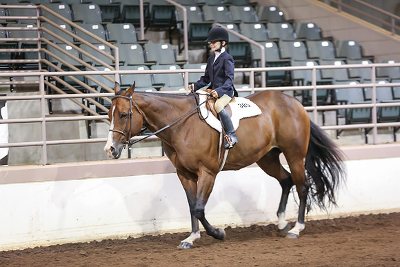 www.ngaphoto.com 2015 Georgia Federation of Saddle Clubs Championship Horse Show