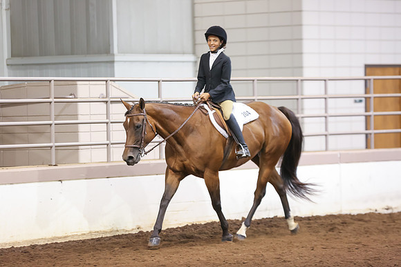 www.ngaphoto.com 2015 Georgia Federation of Saddle Clubs Championship Horse Show