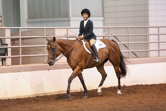 www.ngaphoto.com 2015 Georgia Federation of Saddle Clubs Championship Horse Show