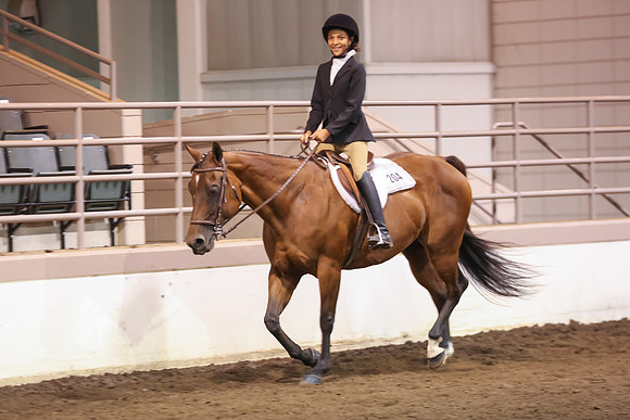 www.ngaphoto.com 2015 Georgia Federation of Saddle Clubs Championship Horse Show