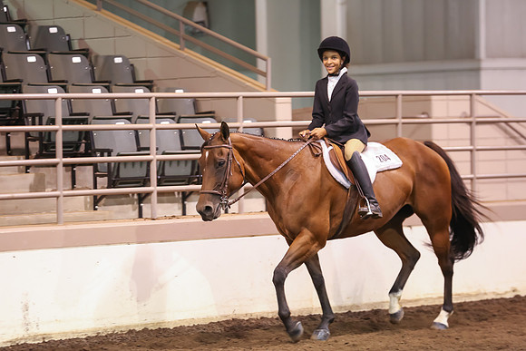 www.ngaphoto.com 2015 Georgia Federation of Saddle Clubs Championship Horse Show