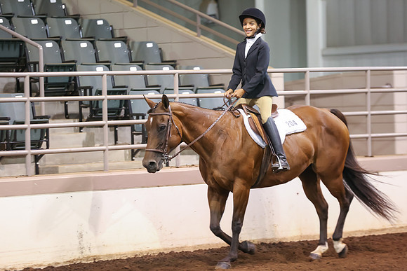 www.ngaphoto.com 2015 Georgia Federation of Saddle Clubs Championship Horse Show