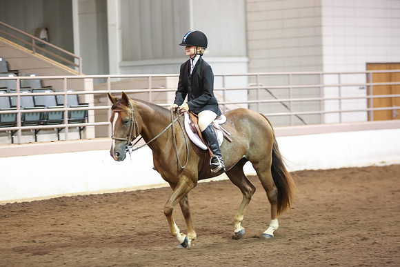www.ngaphoto.com 2015 Georgia Federation of Saddle Clubs Championship Horse Show