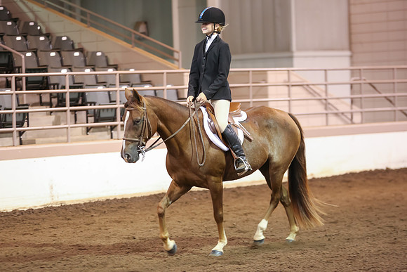 www.ngaphoto.com 2015 Georgia Federation of Saddle Clubs Championship Horse Show