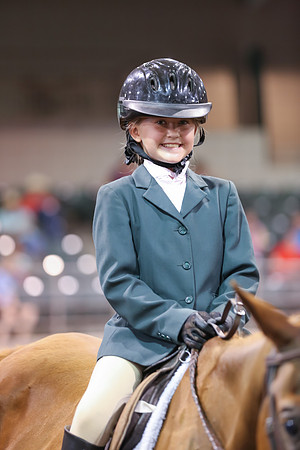 www.ngaphoto.com 2015 Georgia Federation of Saddle Clubs Championship Horse Show