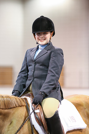 www.ngaphoto.com 2015 Georgia Federation of Saddle Clubs Championship Horse Show